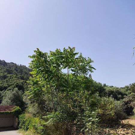 Callas Residence Ialysos  Luaran gambar