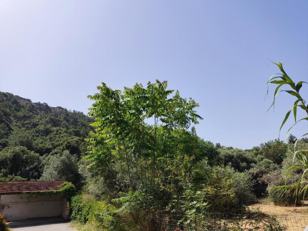 Callas Residence Ialysos  Luaran gambar